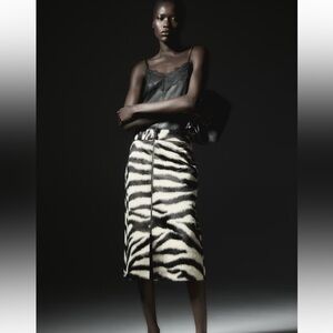 Zebra Print Midi Skirt H&M Zip-Front skirt
